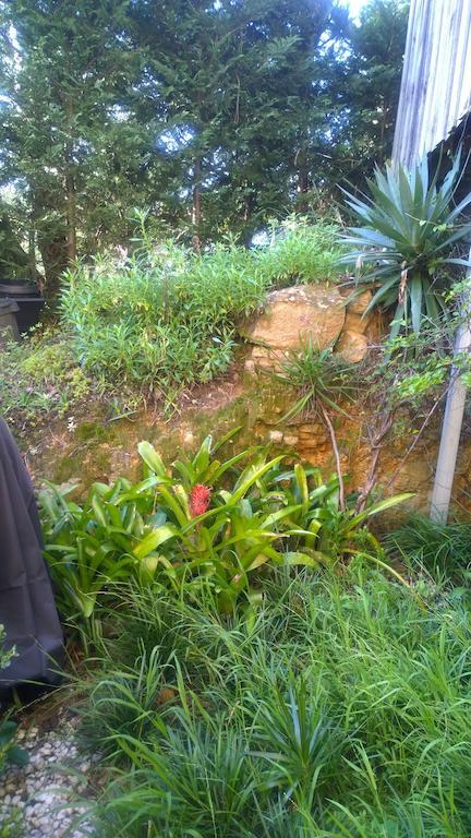 Linley House Bed & Breakfast Sydney Exterior photo